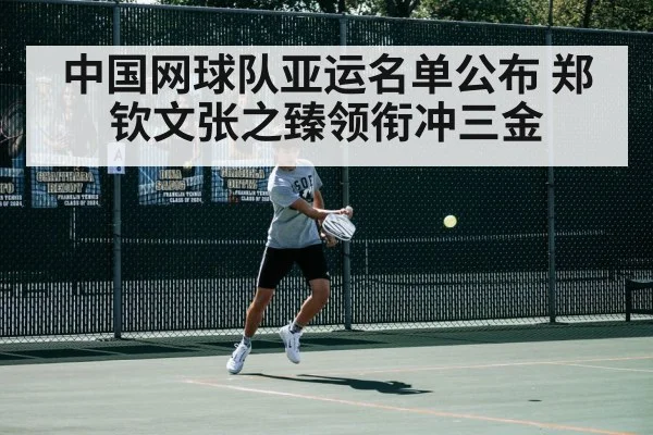 tennis player action - wegame
